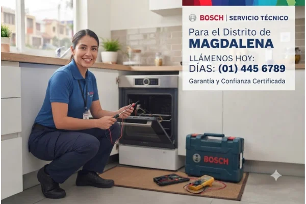 Técnico Bosch en Magdalena